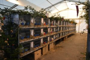 IMG_20161210_122958