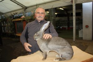 Bruno Formicola et Miss Vaud 2016, une femelle Géant belge notée à 97 points